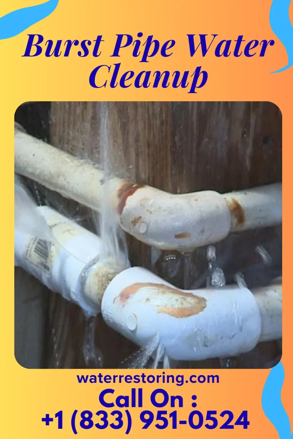 Burst Pipe Water Cleanup in Rising Sun, IN