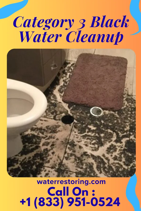 Category 3 Black Water Cleanup in Rising Sun, IN