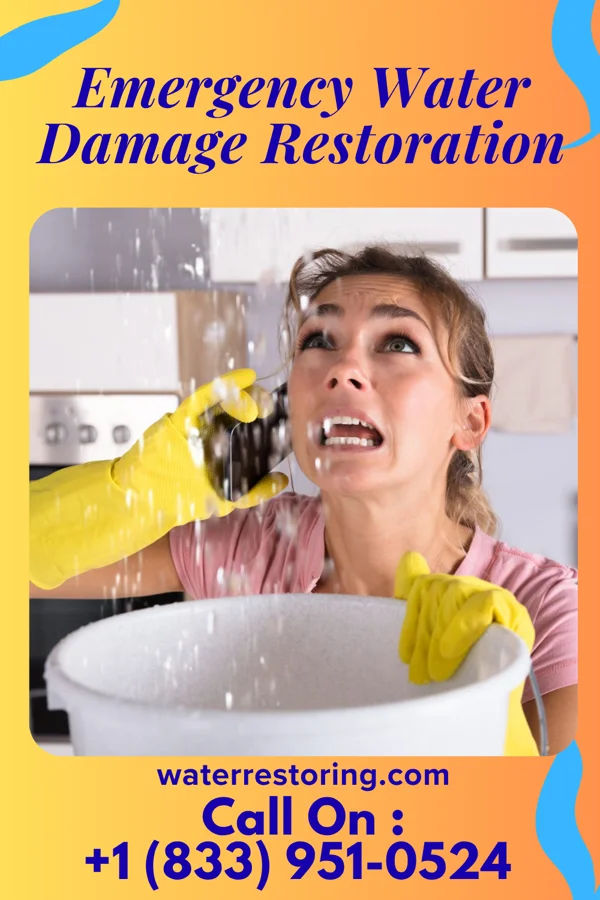 Emergency Water Damage Restoration in Rising Sun, IN